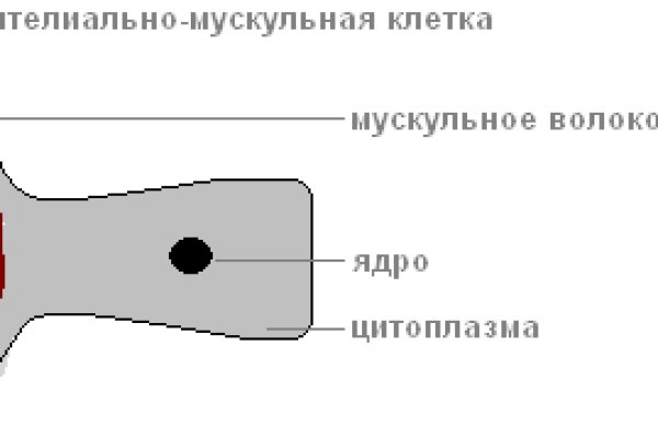 Кракен открылся
