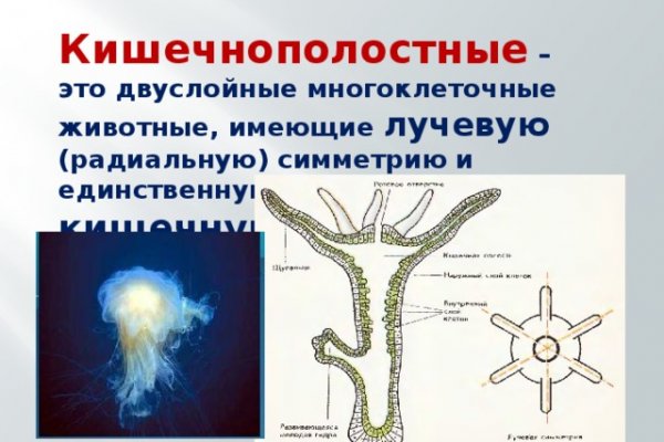 Кракен даркнет аккаунт