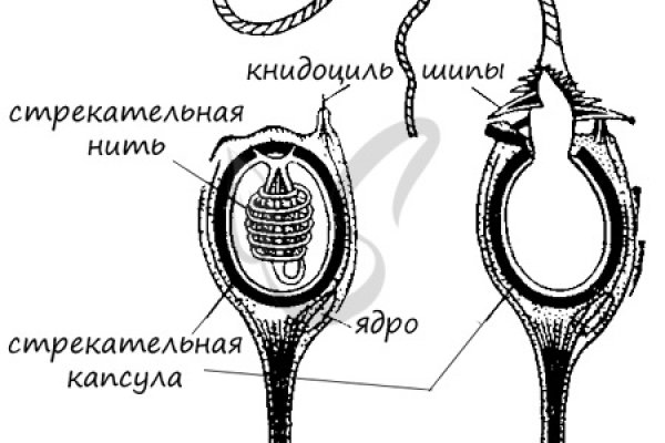 Кракен даркнет маркетплейс